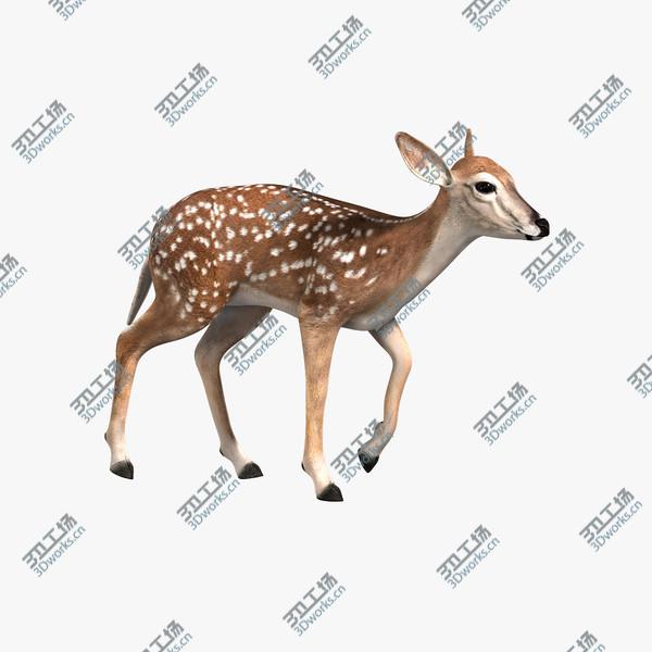 images/goods_img/2021040163/Fawn (ANIMATED)/1.jpg